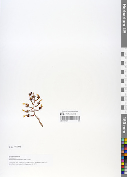 LE 01067231