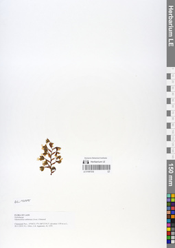 LE 01067232