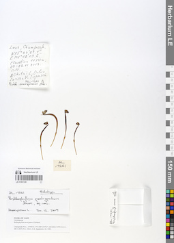 LE 01067238