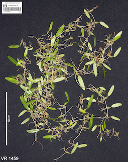LE 01061069
