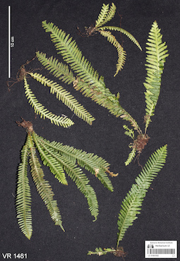 LE 01061002