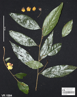 LE 01070214