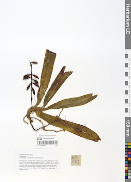 LE 01066686