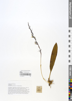 LE 01066731
