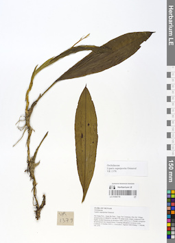 LE 01066779