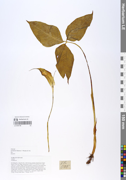 LE 01067148