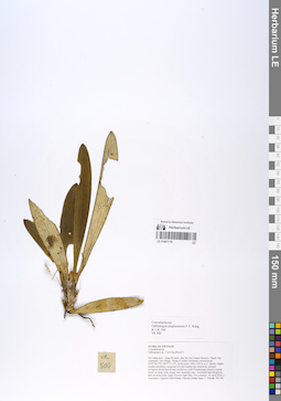 LE 01067178