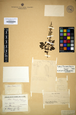 LE 01043026