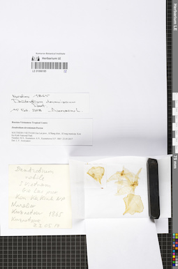 LE 01066185