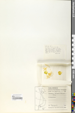 LE 01066187