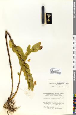 LE 01066192