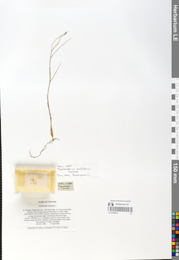 LE 01066214