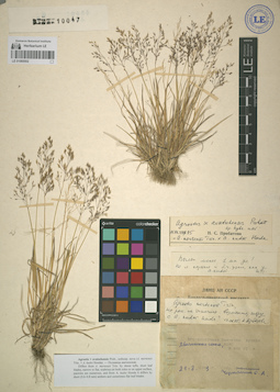 LE 01065502