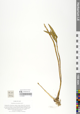 LE 01059984
