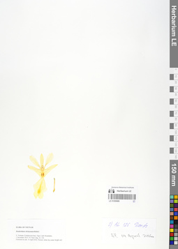 LE 01059989