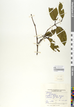 LE 01068334