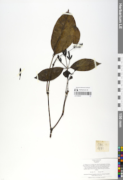 LE 01068347