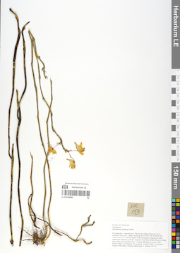 LE 01054085