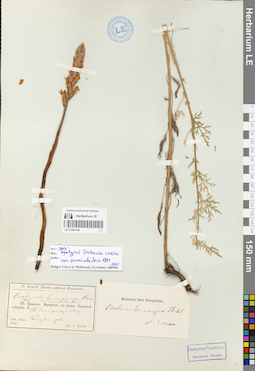 LE 01060140