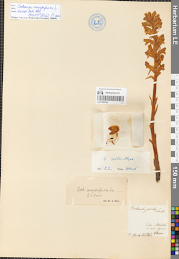 LE 01060144