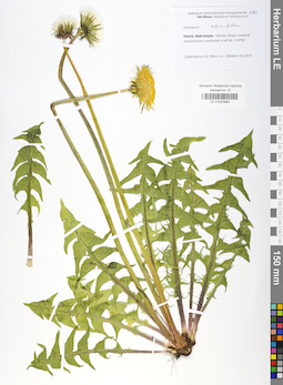 LE 01040894