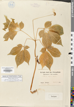 LE 01016049