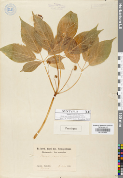 LE 01016050