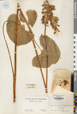 LE 01018426