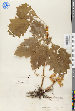 LE 01024457