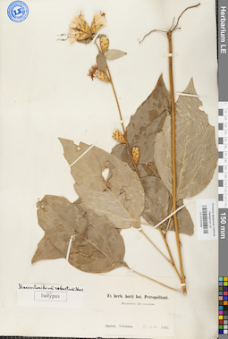LE 01024458