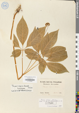 LE 01025895