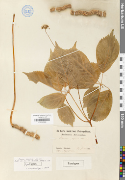 LE 01025899