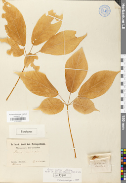 LE 01029601