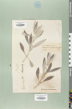 LE 01042709