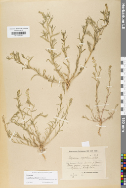 LE 01042797