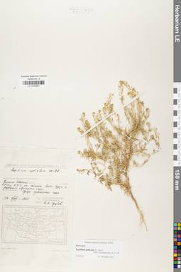 LE 01042801