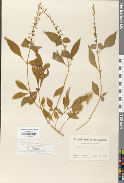 LE 01042803
