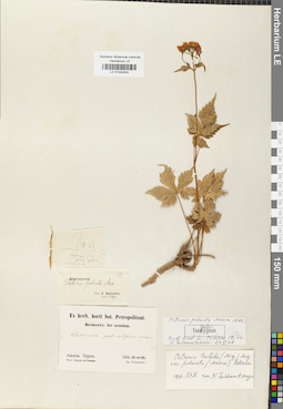 LE 01042824