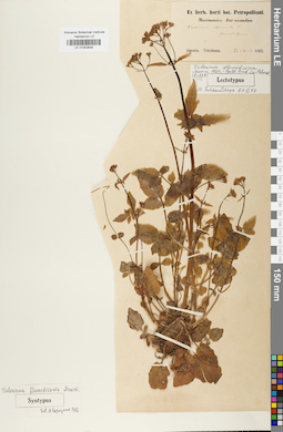 LE 01042834