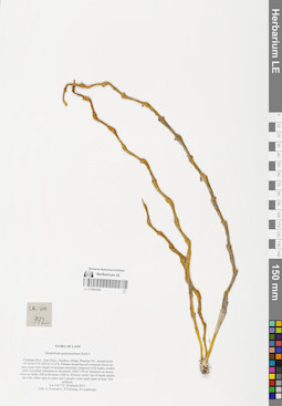 LE 01066262