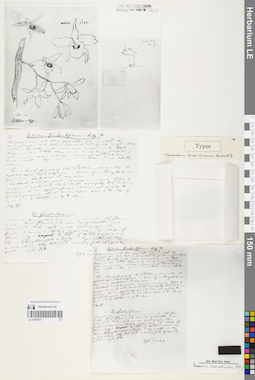 LE 01066275