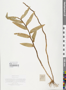 LE 01066292