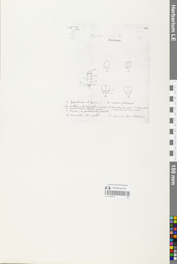 LE 01066319