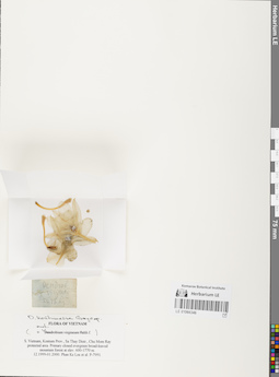 LE 01066346