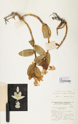 LE 01066347