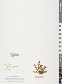 LE 01066368