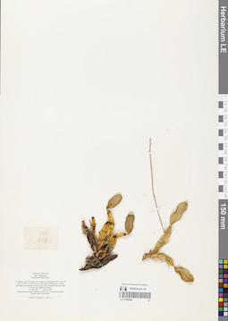 LE 01066396