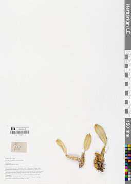 LE 01048801