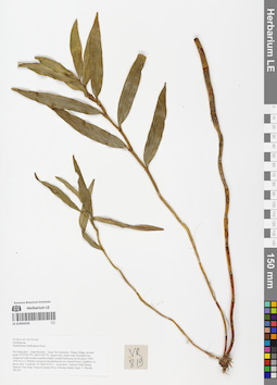 LE 01054220
