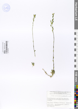 LE 01063762